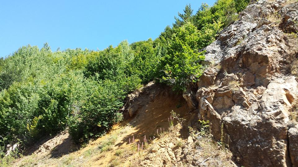 Dipsiz Gl Sivas