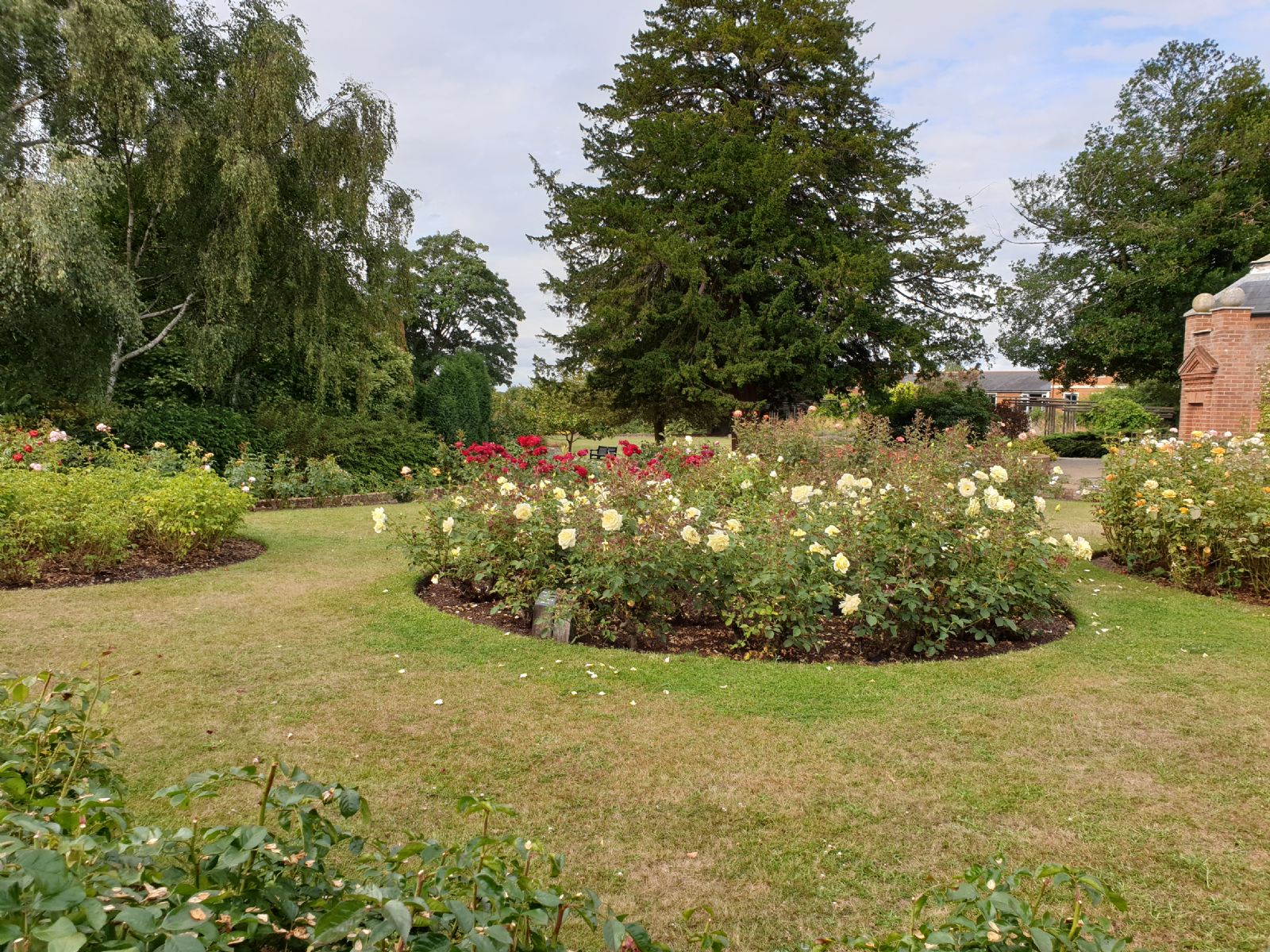 Imola Garden Colchester by Bahar