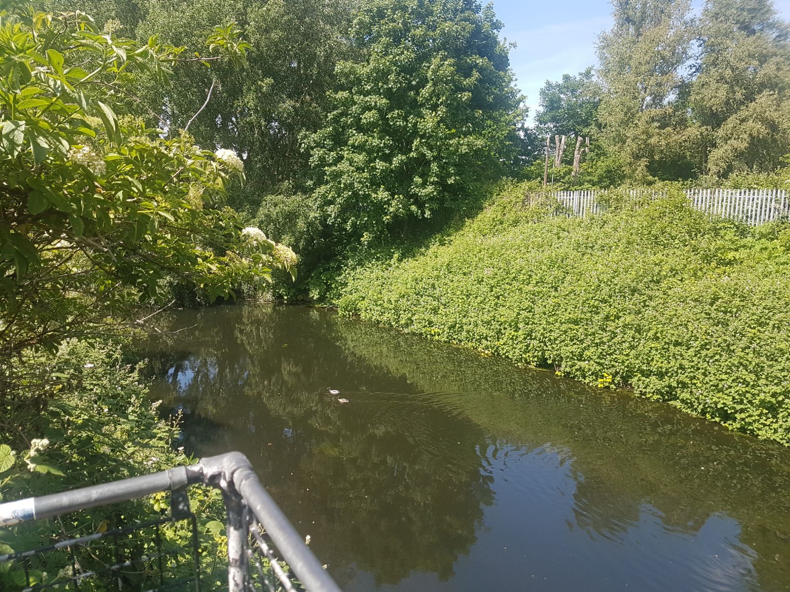Middlesex Filter Beds Weir