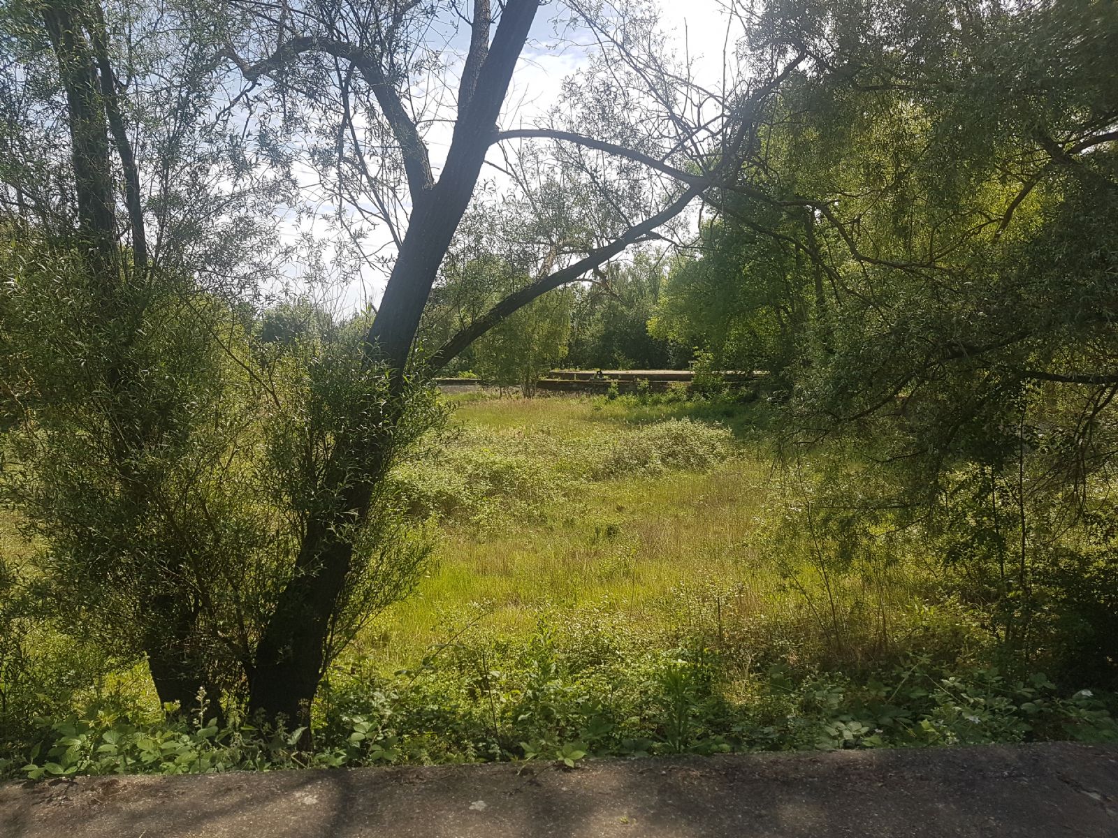 Middlesex Filter Beds Weir