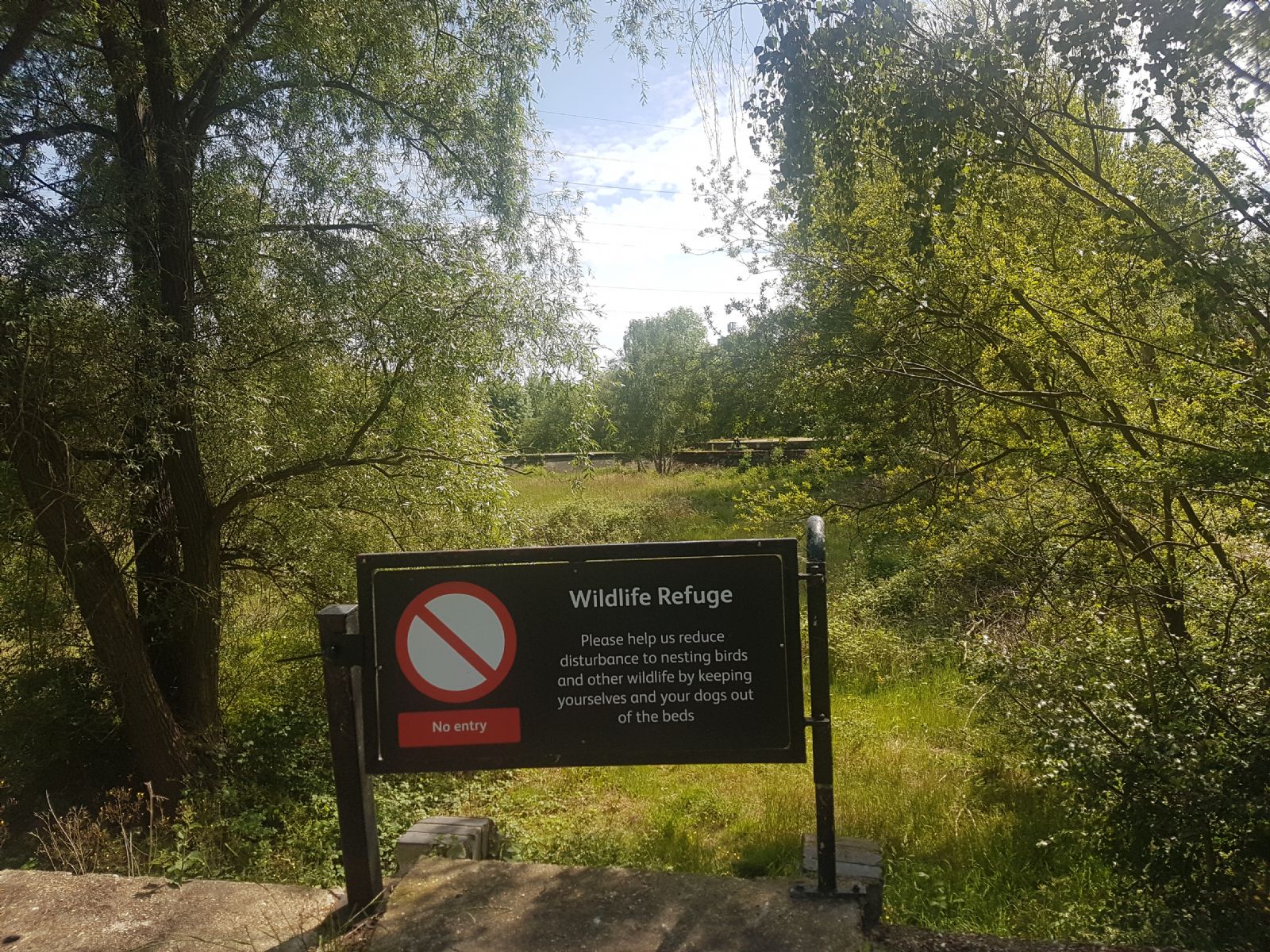 Middlesex Filter Beds Weir