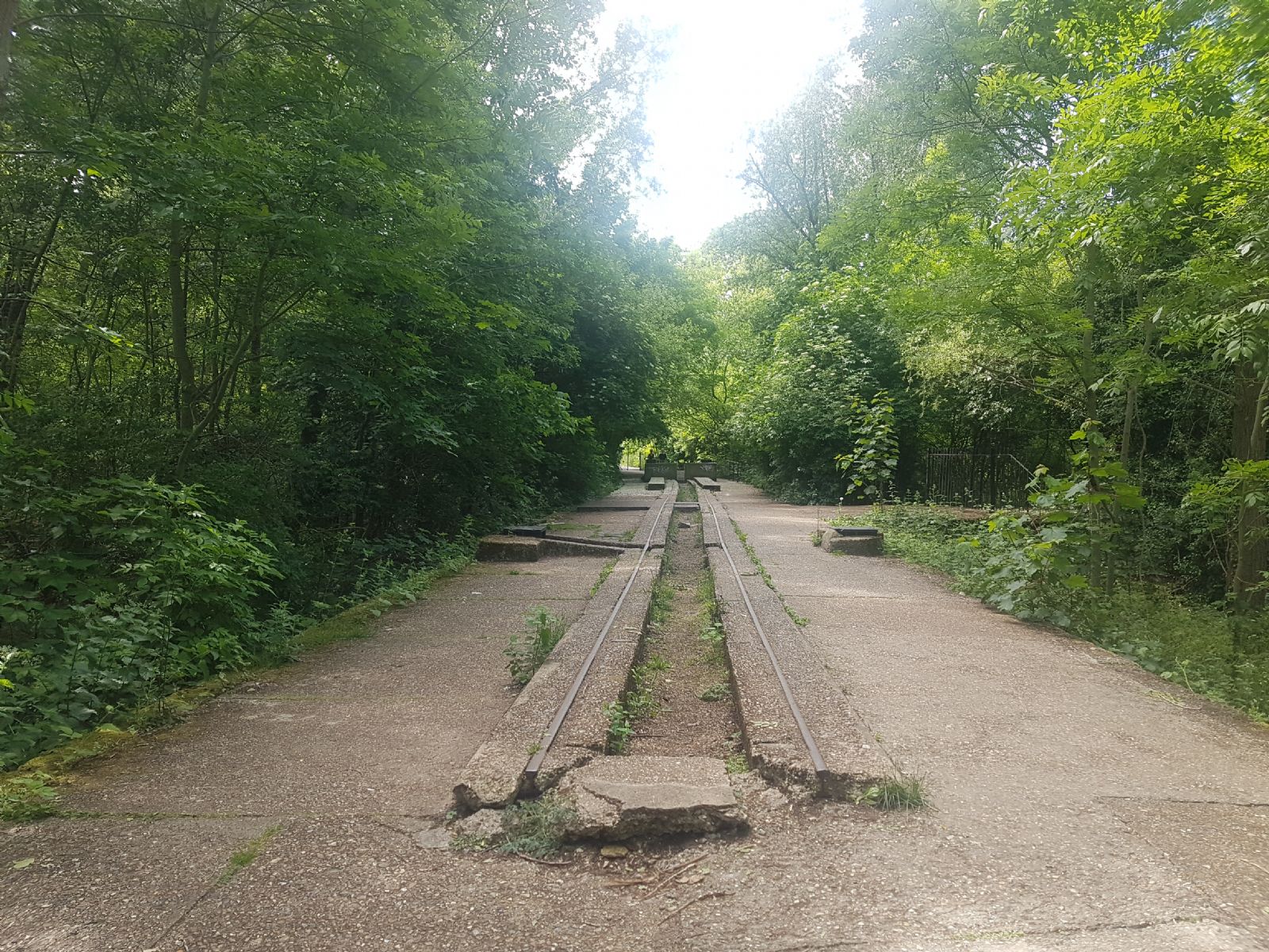 Middlesex Filter Beds Weir