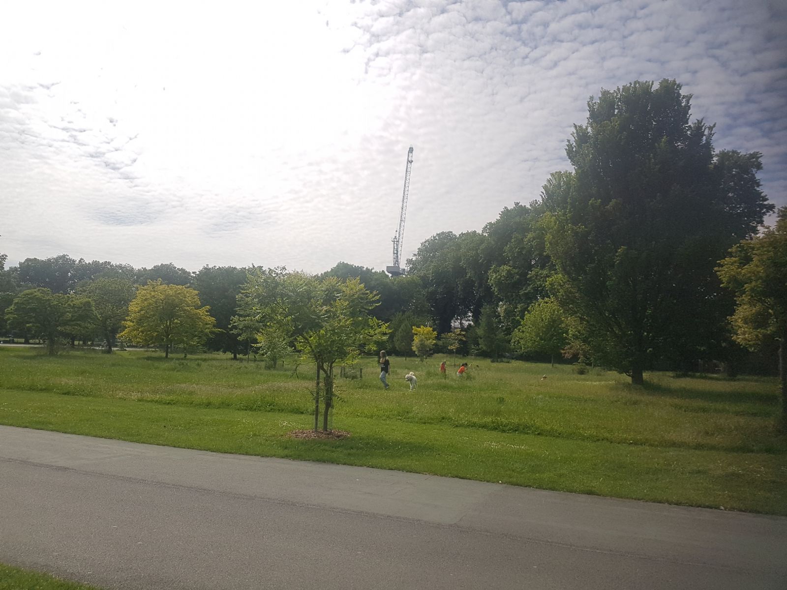 Millfields Park