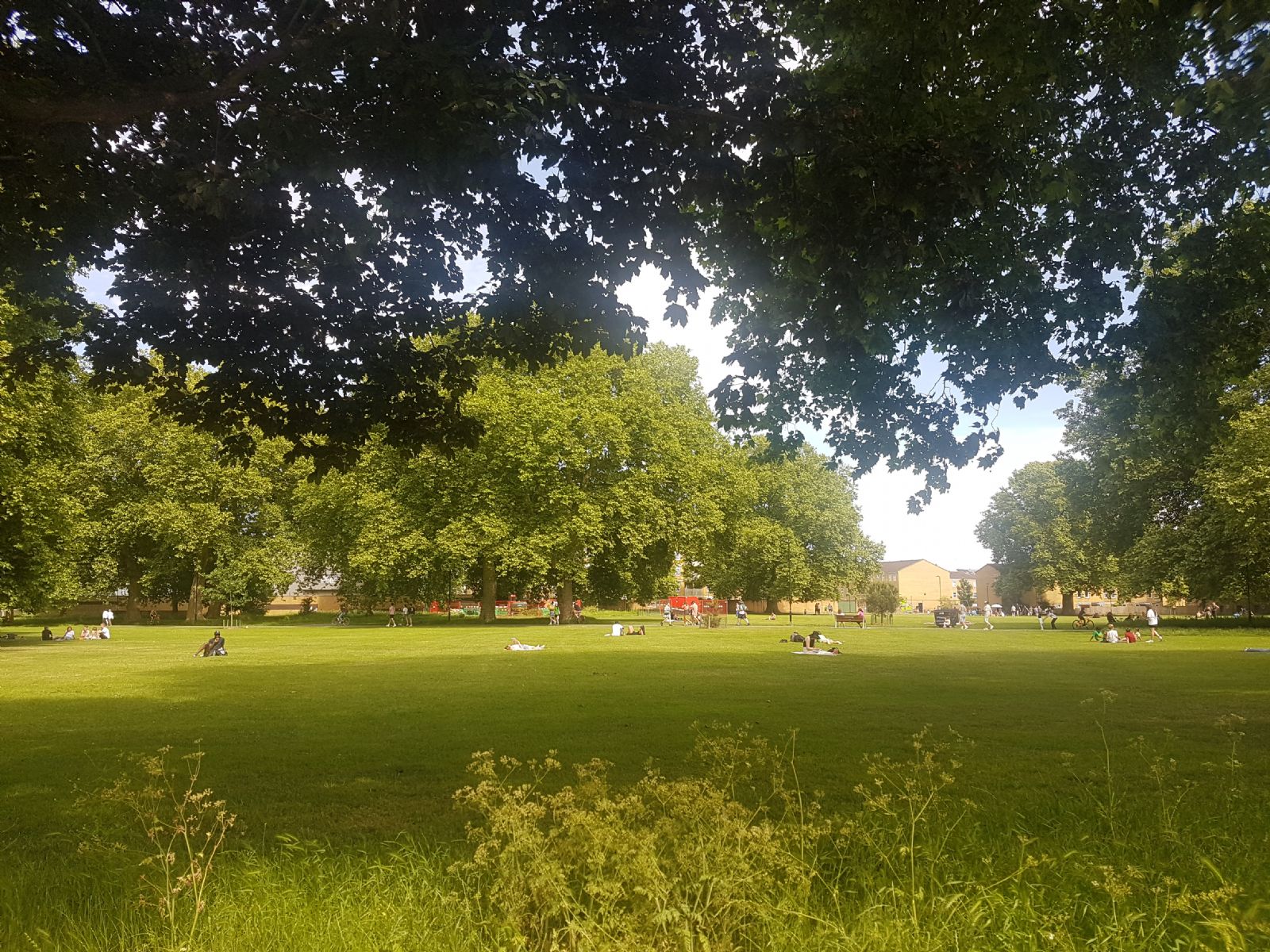 Millfields Park