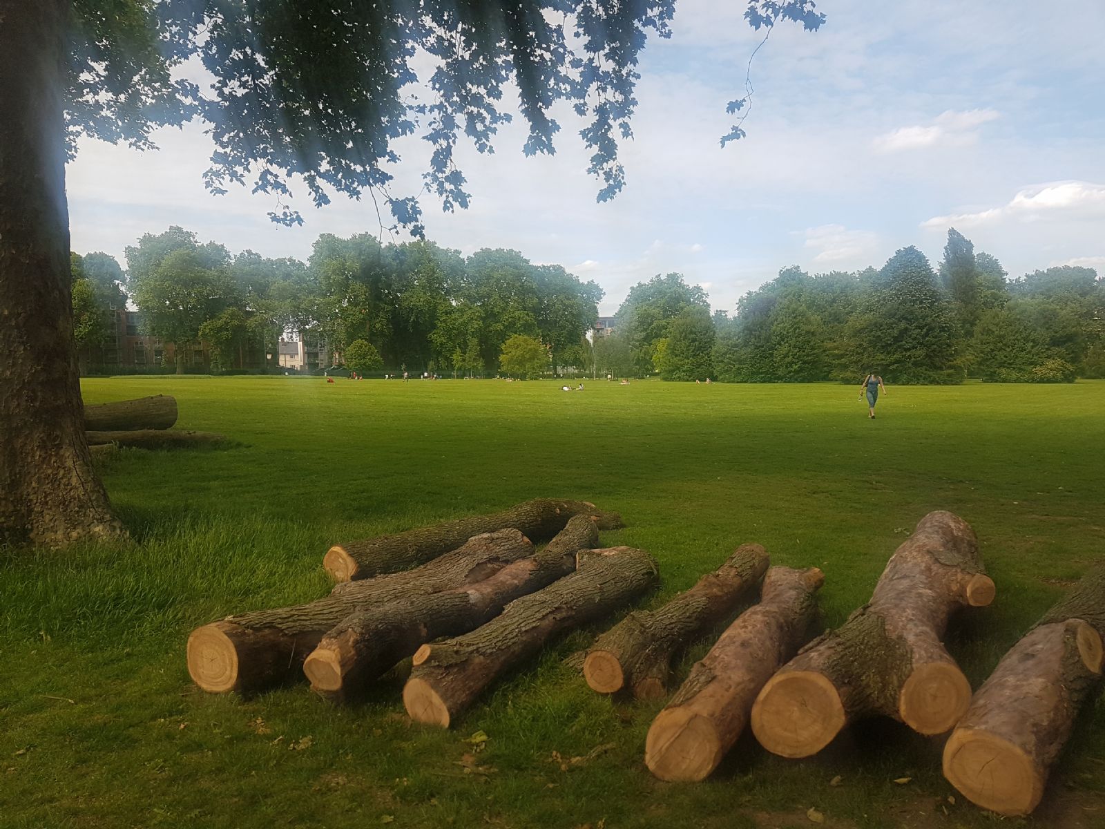 Millfields Park