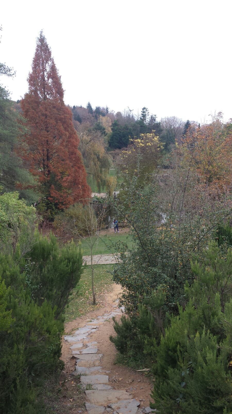 Atatrk Arboretumu