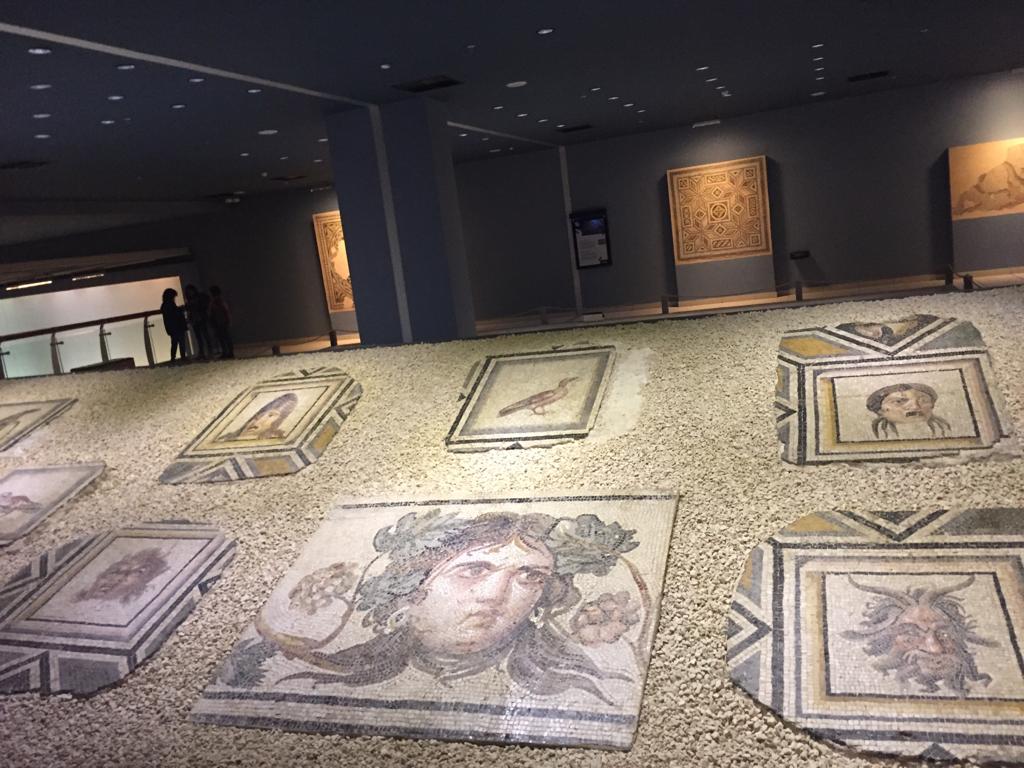 Zeugma Mozaik Muzesi