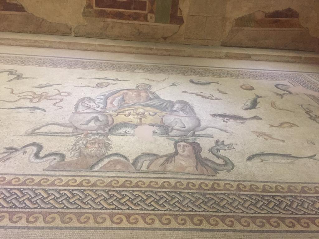 Zeugma Mozaik Muzesi
