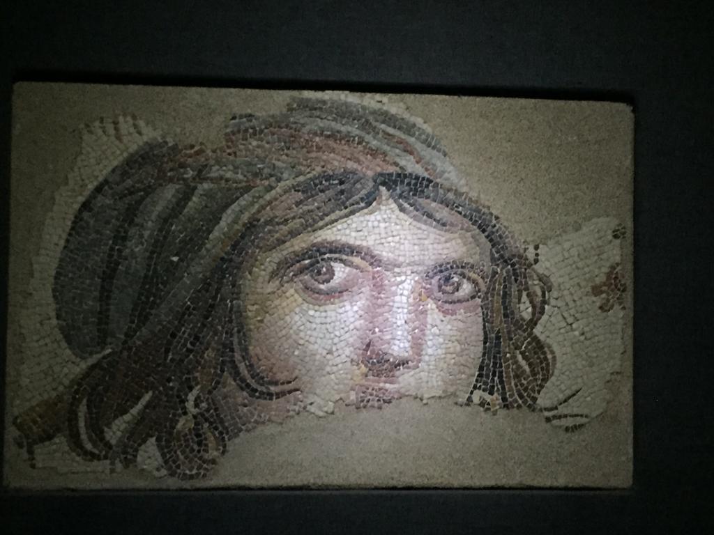 Zeugma Mozaik Muzesi