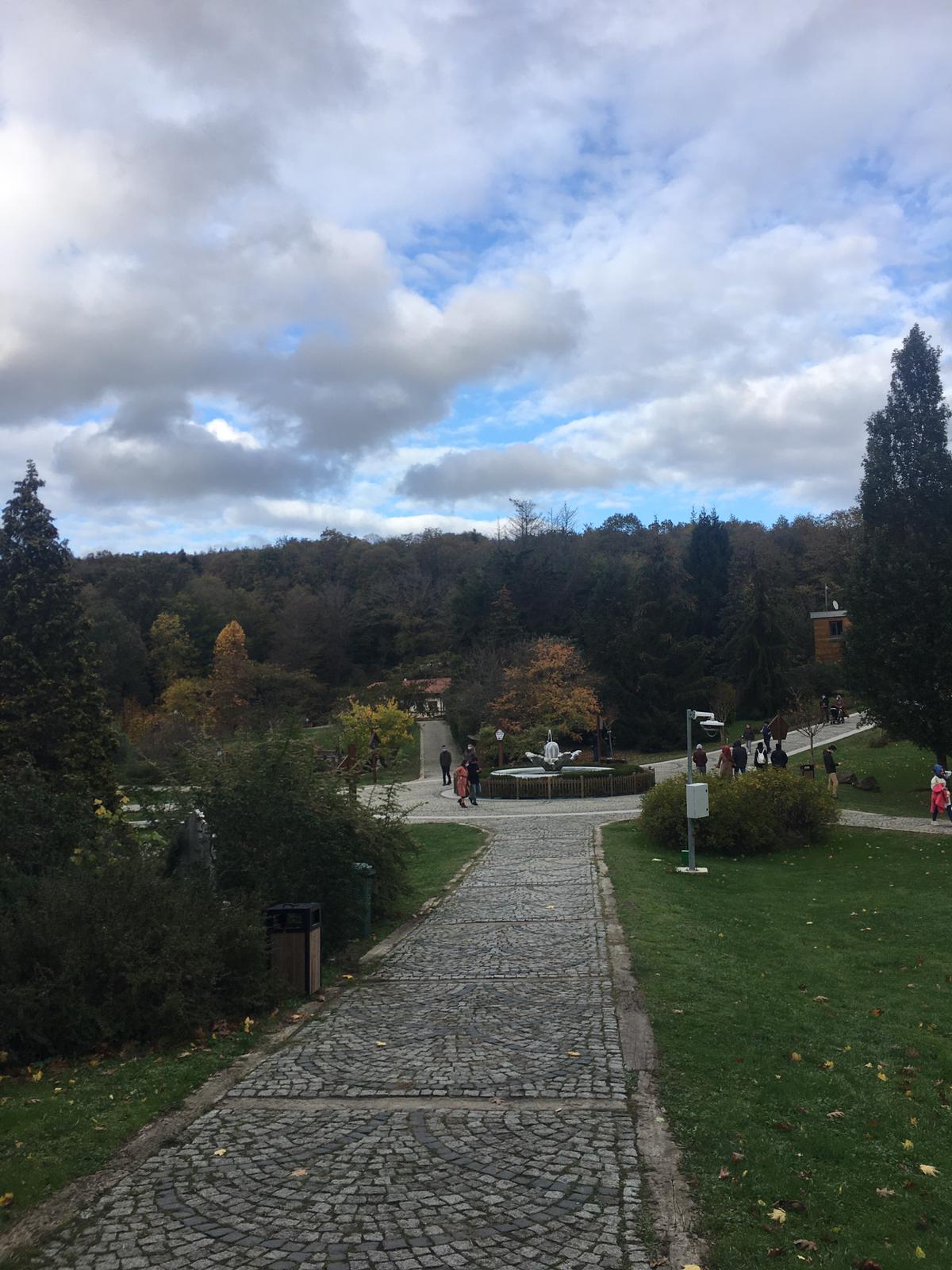 Atatrk Arboretum 2020