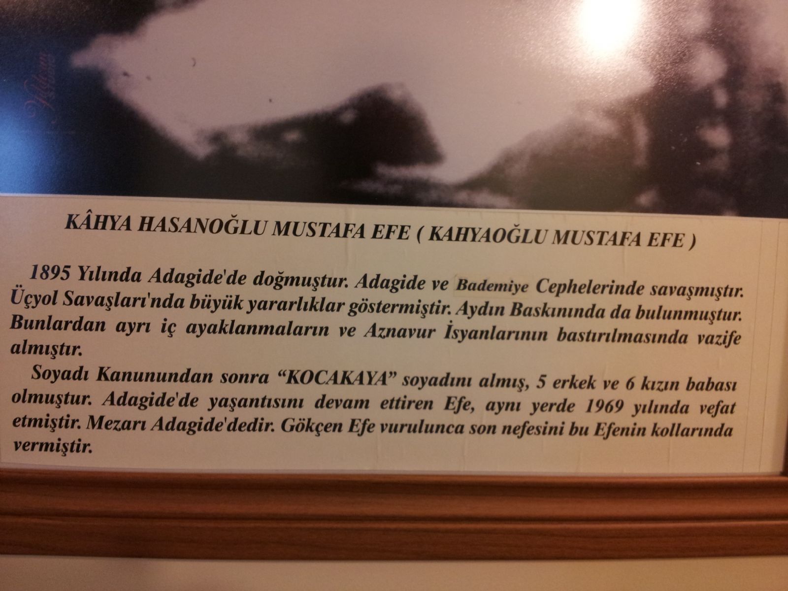Milli Mcadelede Aydn Mzesi