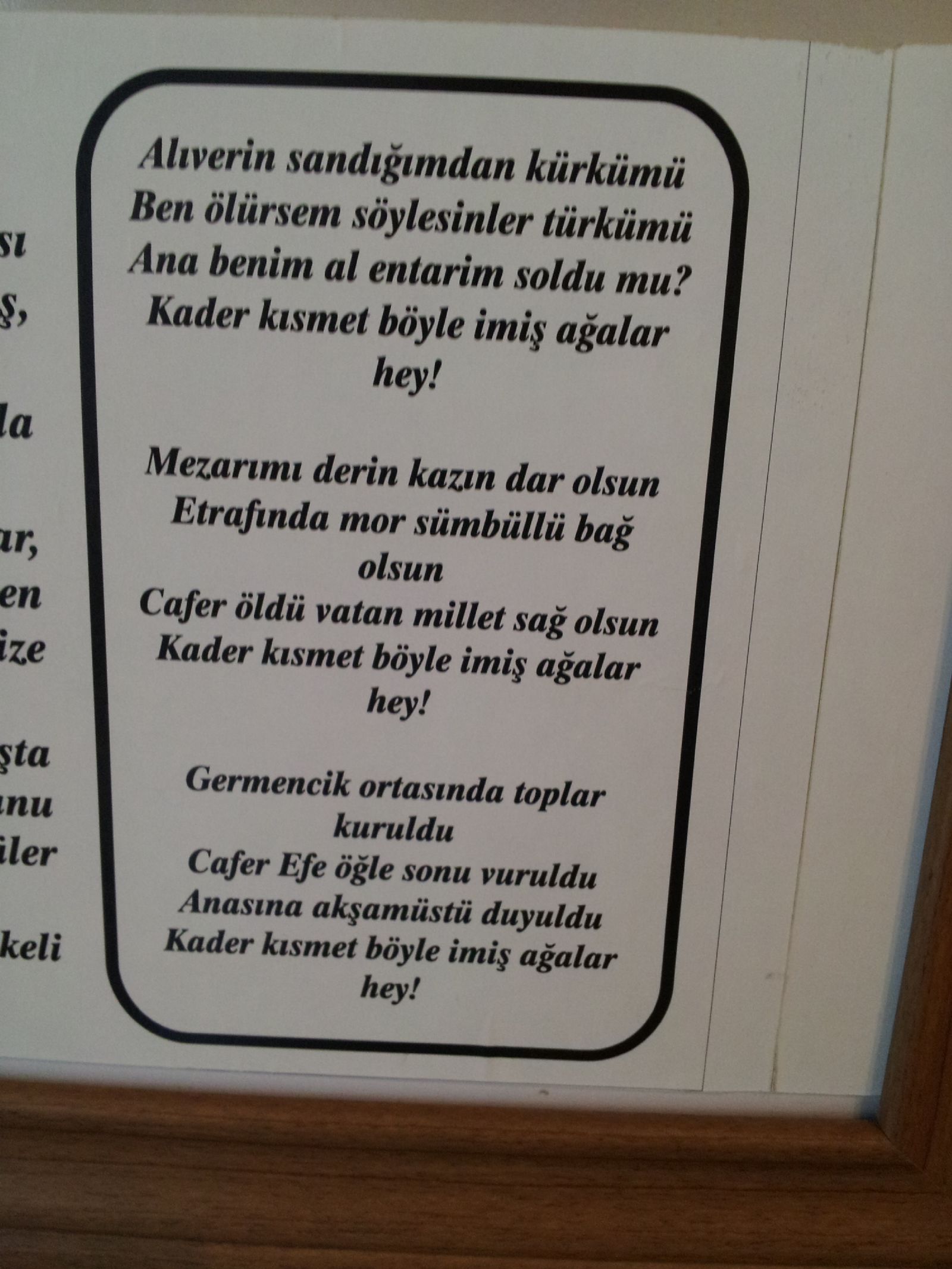 Milli Mcadelede Aydn Mzesi