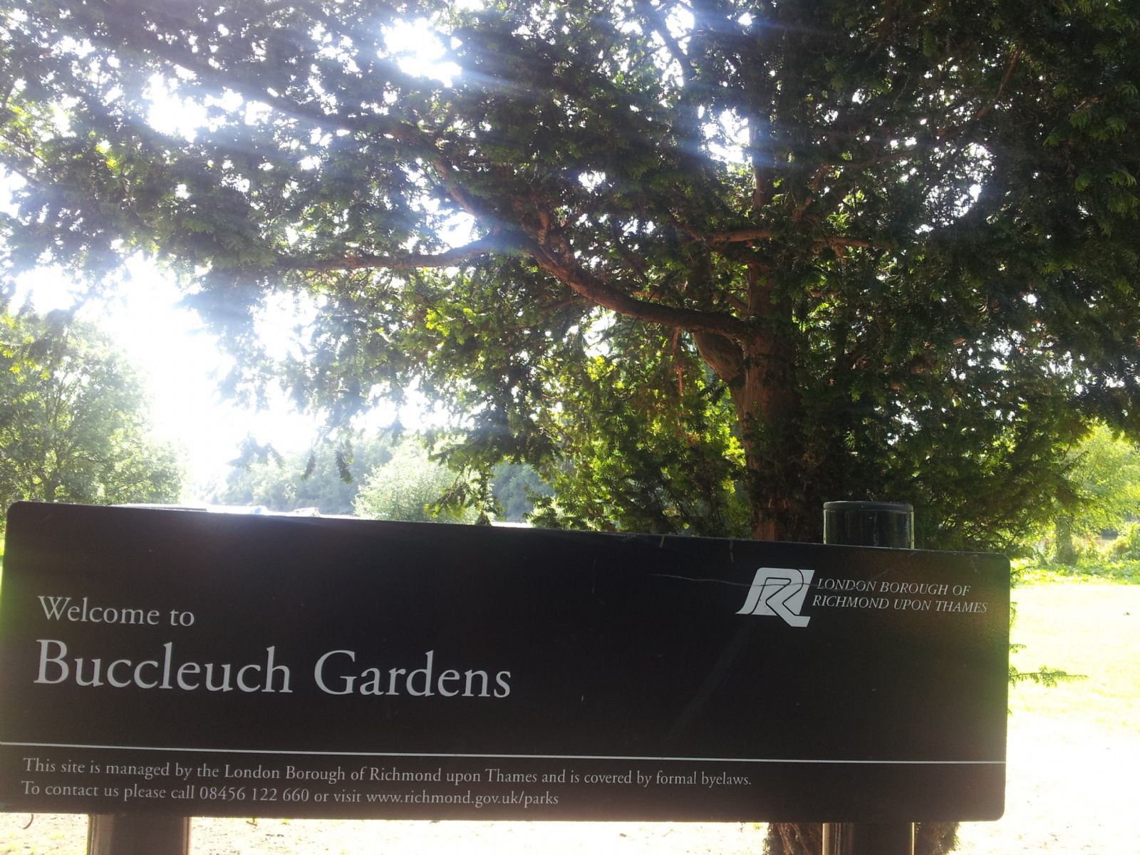 Buccleuch Gardens