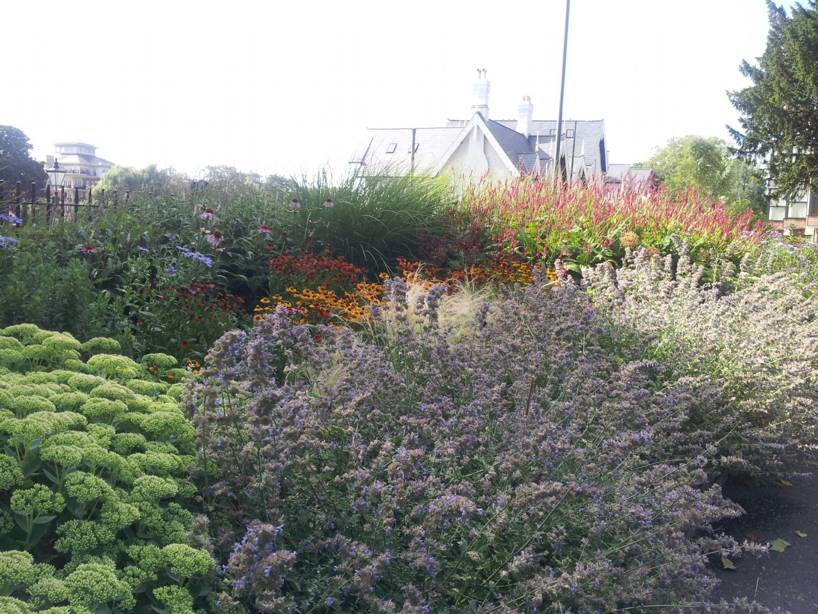 Buccleuch Gardens