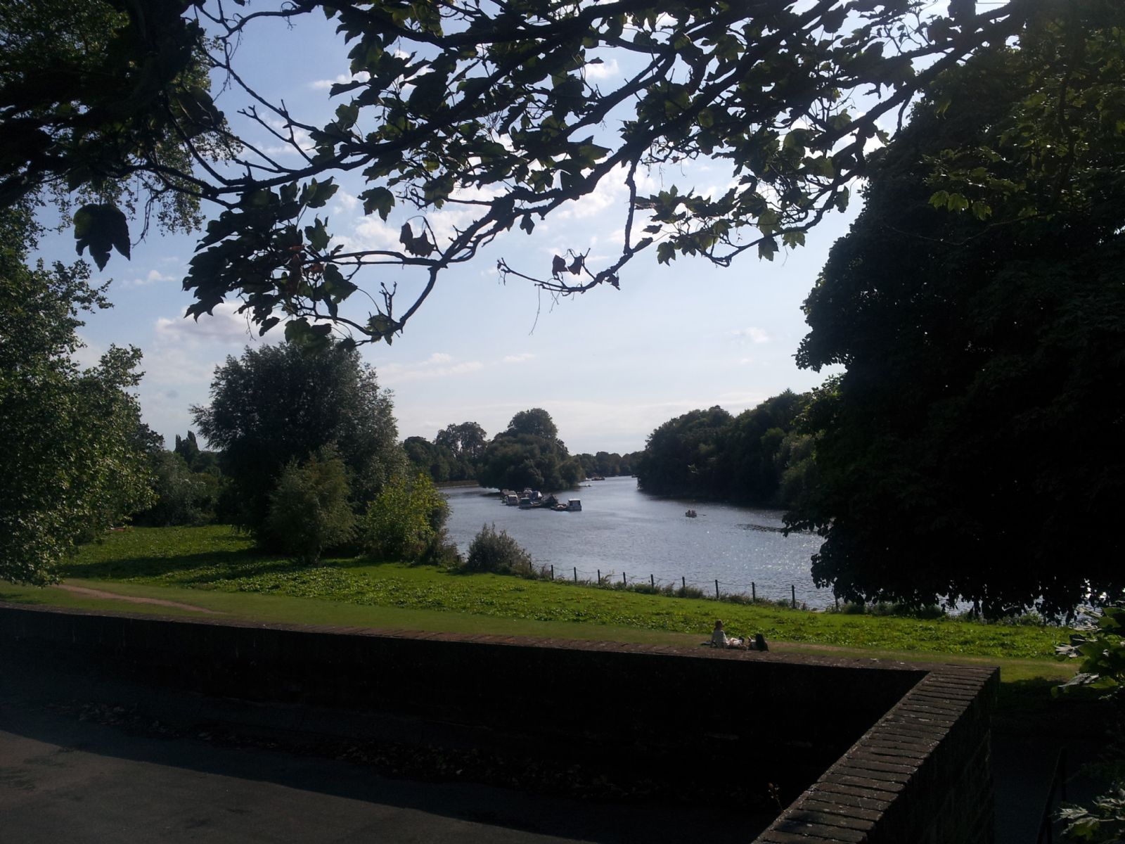 Buccleuch Gardens