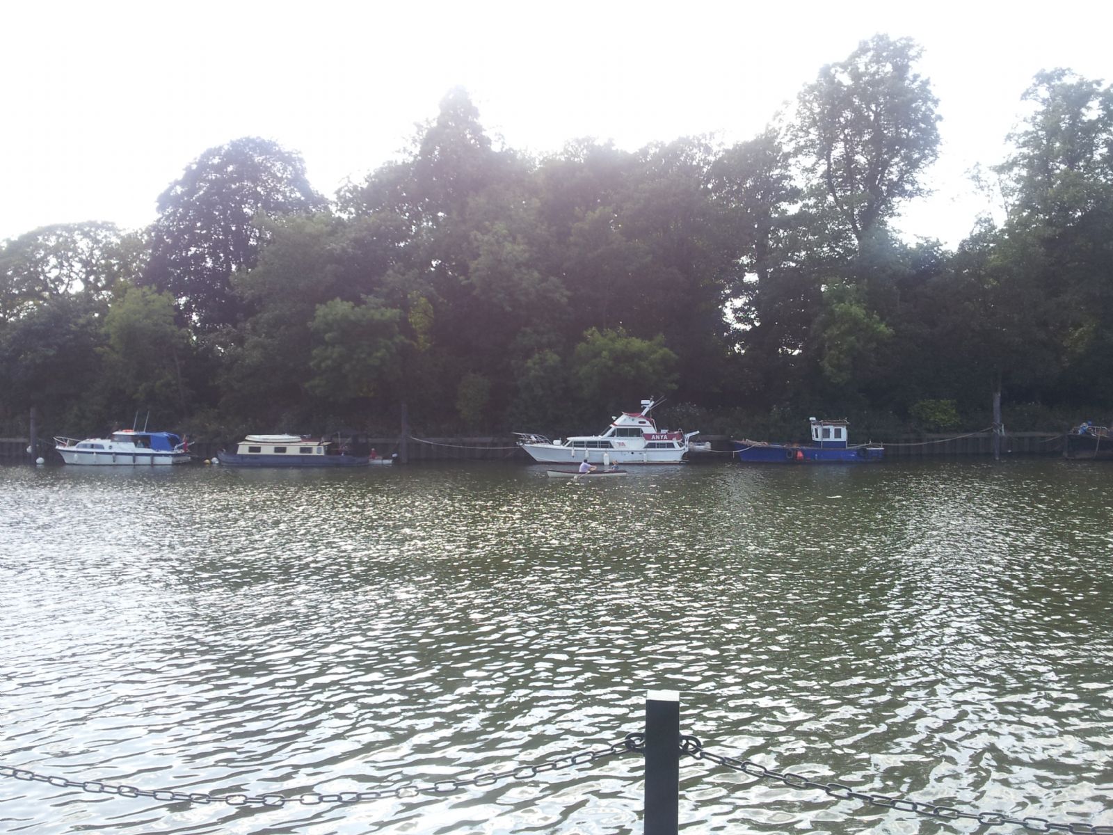 Buccleuch Gardens