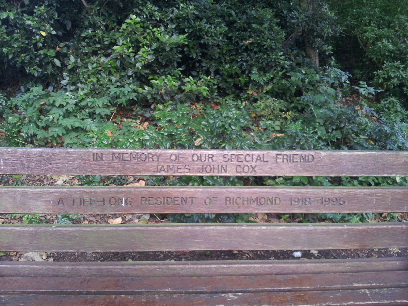 Buccleuch Gardens