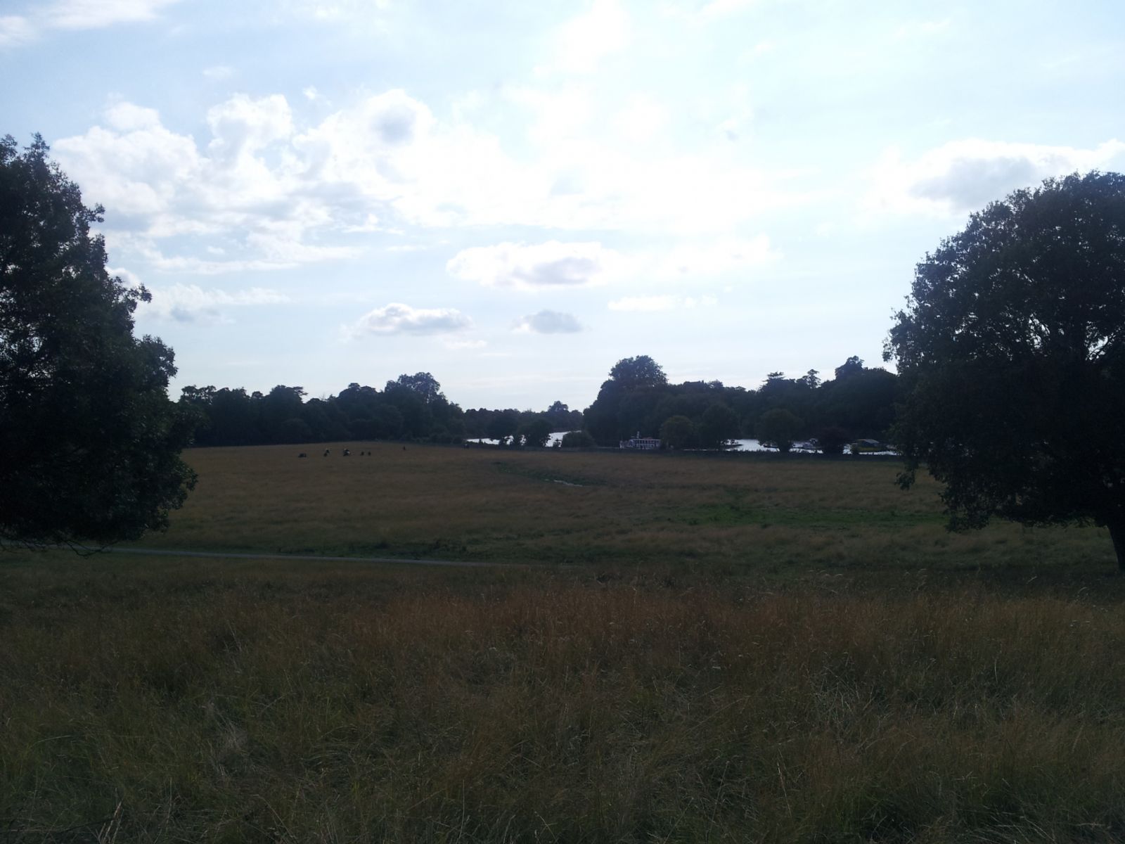 Buccleuch Gardens
