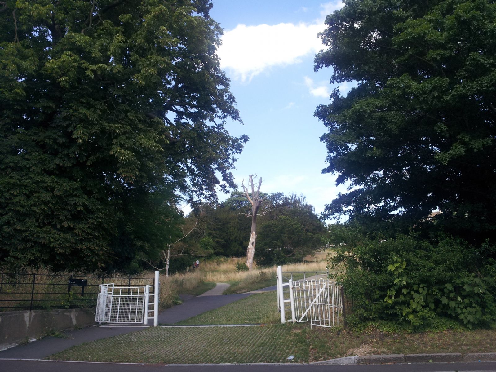 Buccleuch Gardens