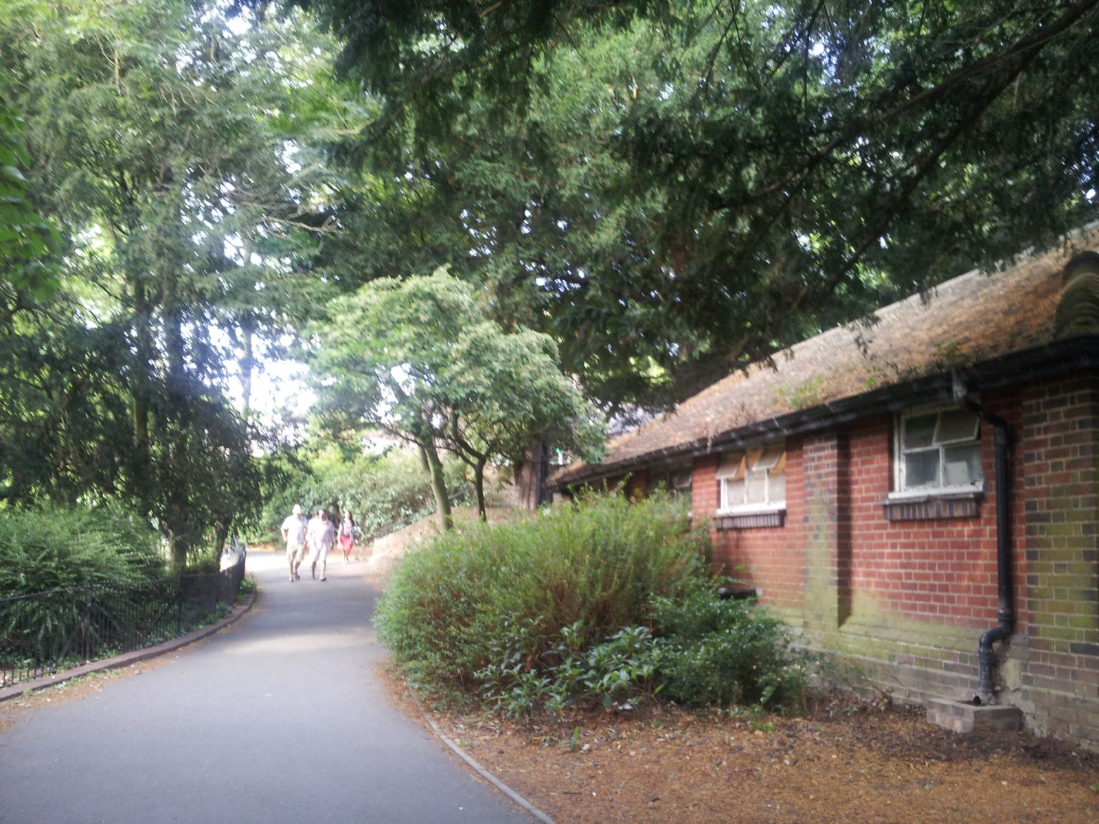 Buccleuch Gardens