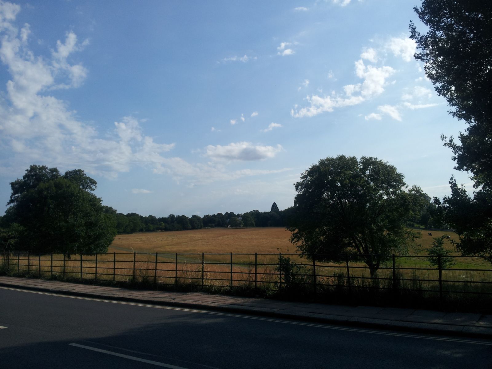 Buccleuch Gardens