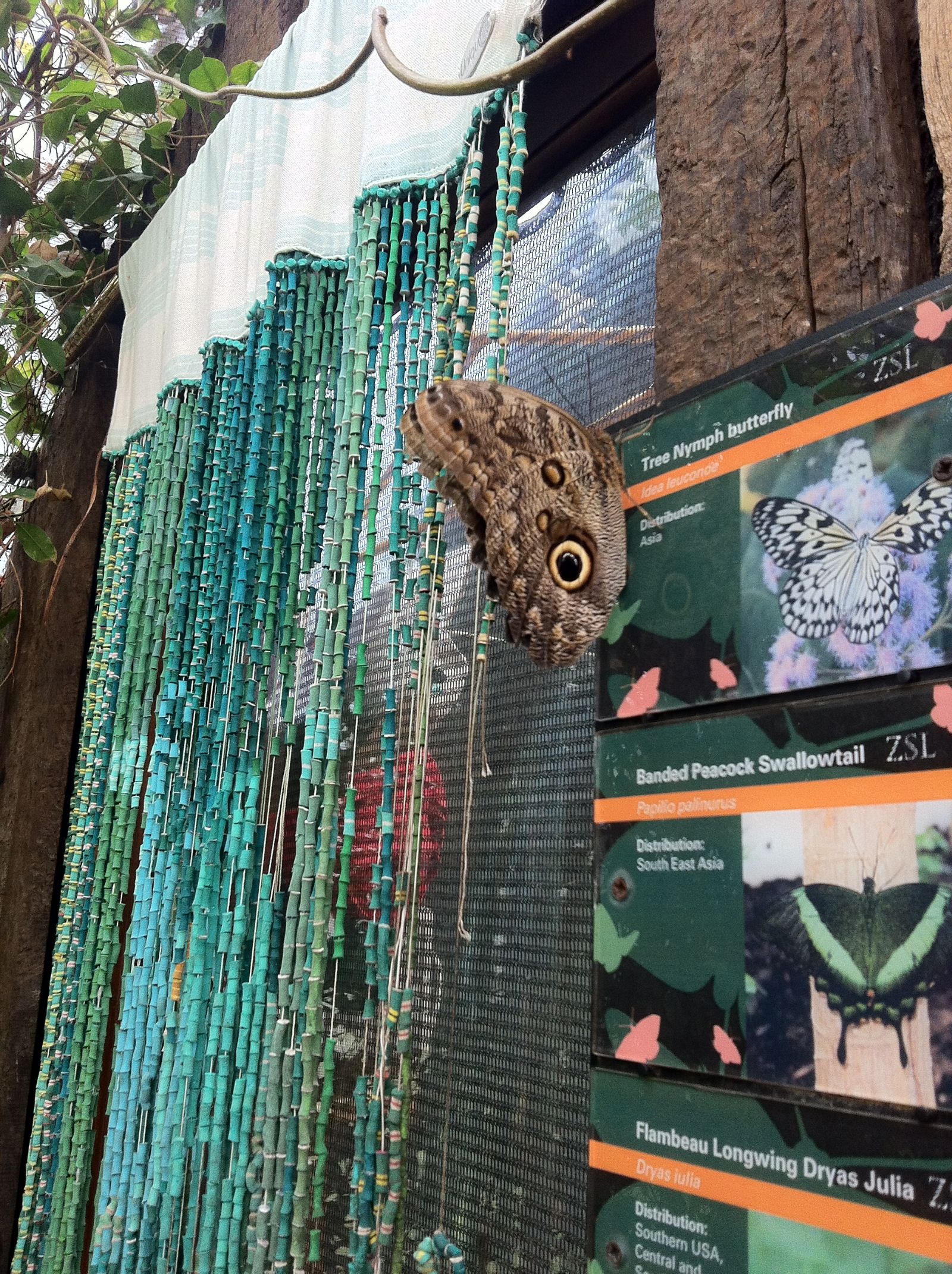 London Zoo