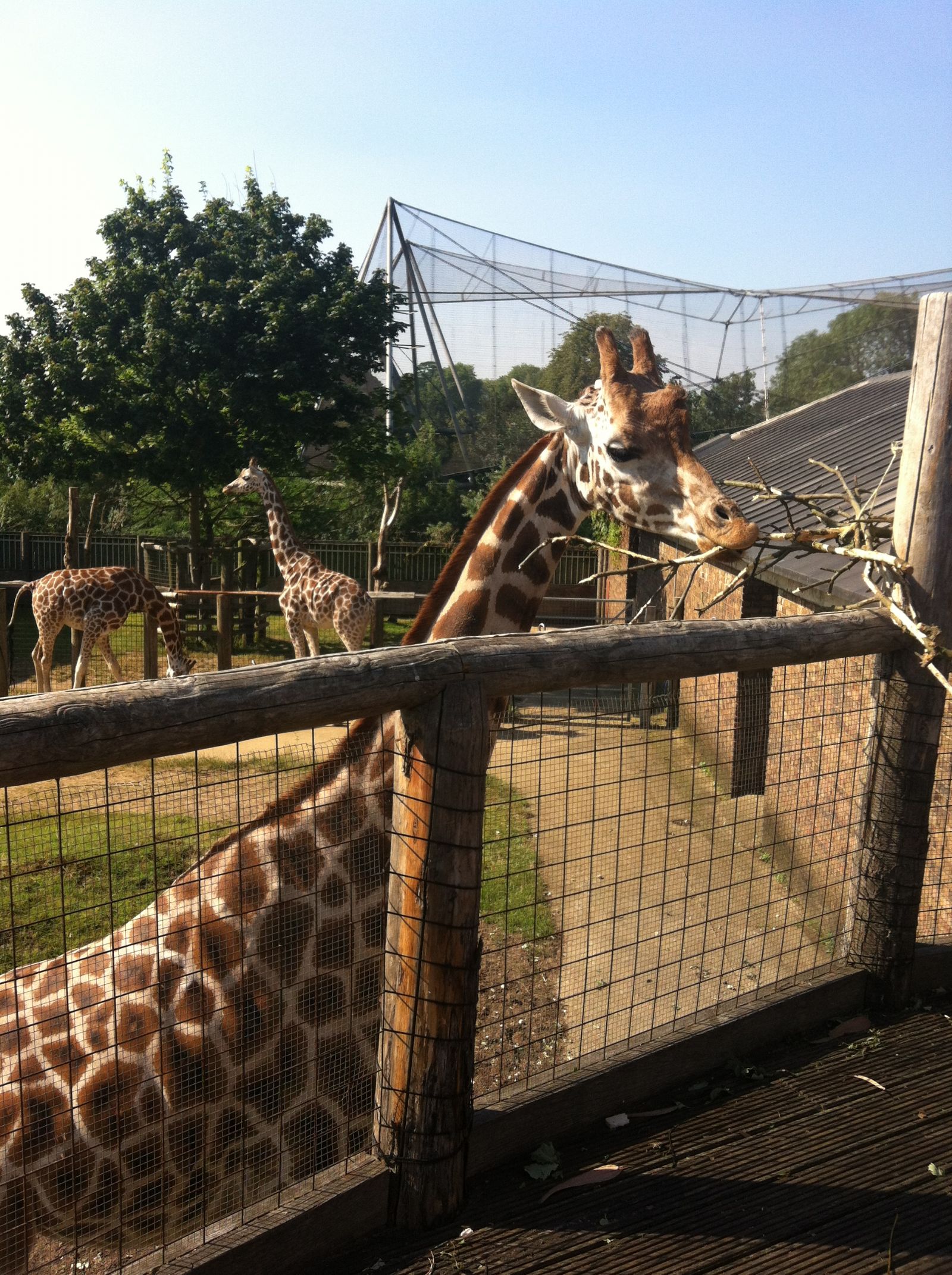 London Zoo