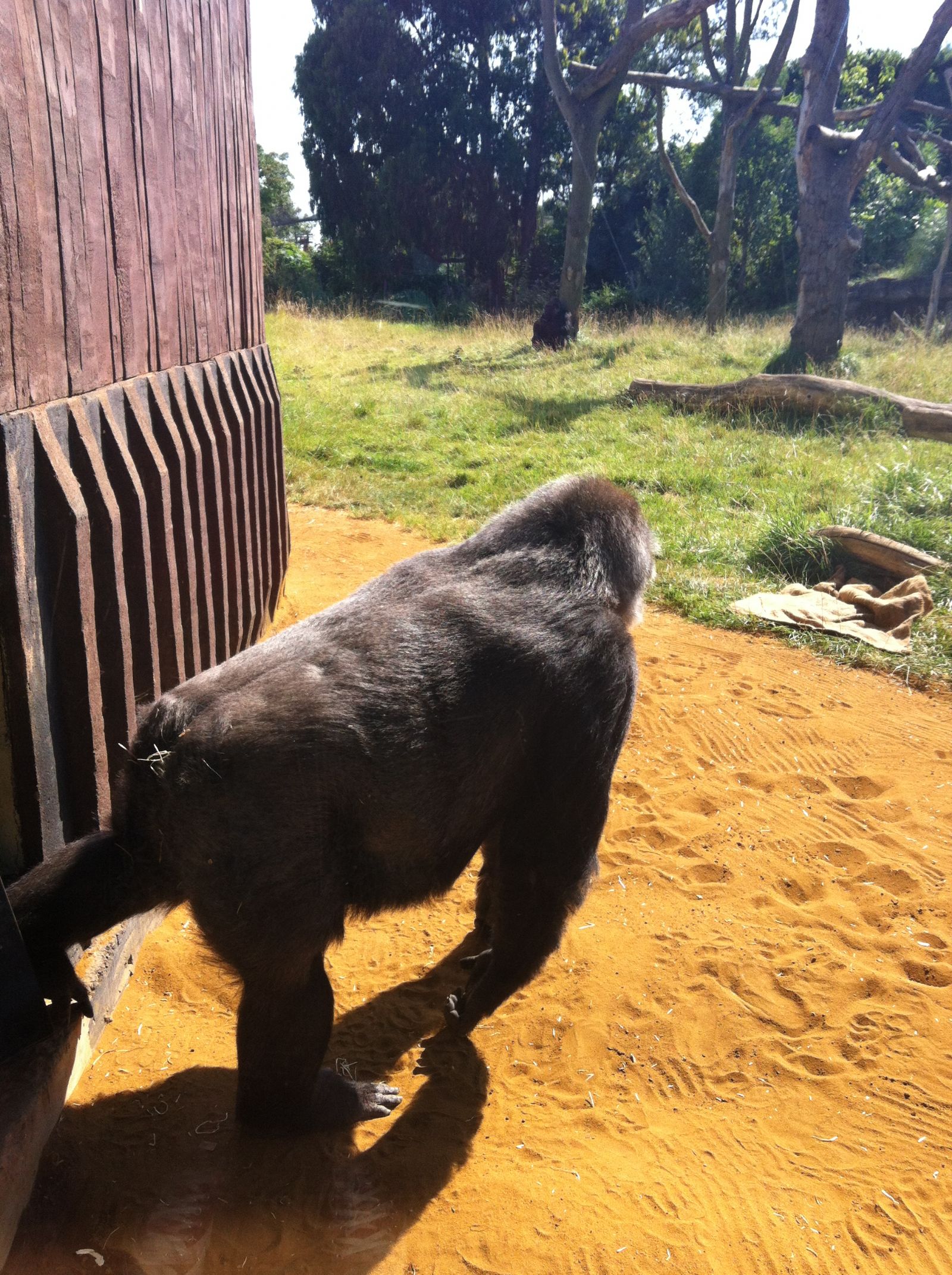 London Zoo