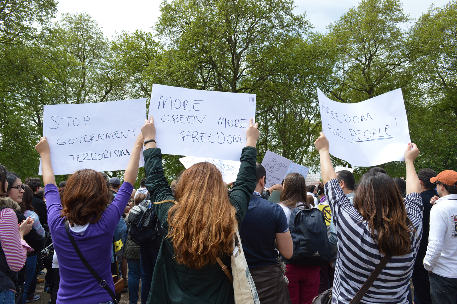 Gezi Parki Protestosu, Hyde Park