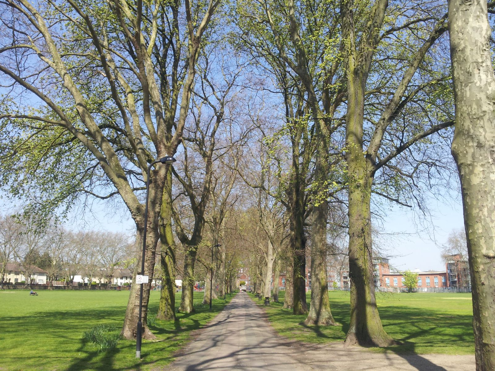 Millfields Park
