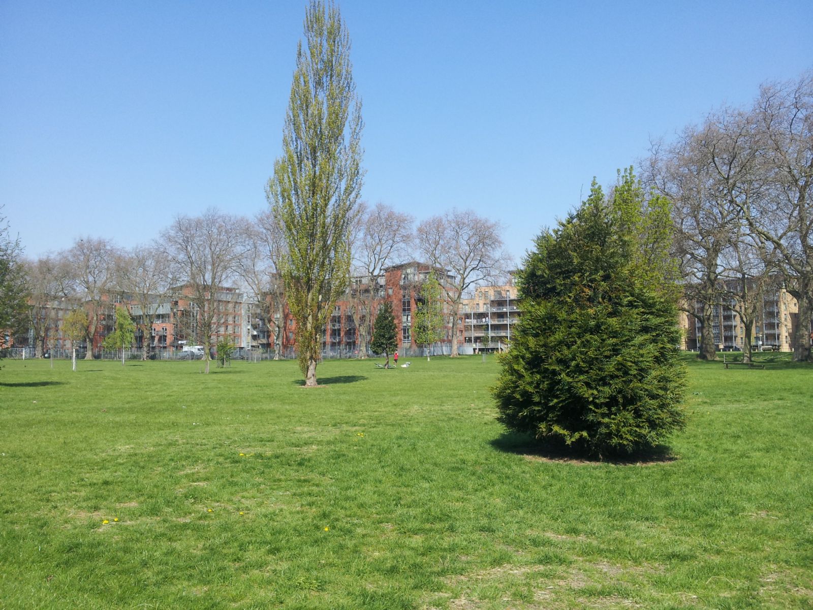 Millfields Park