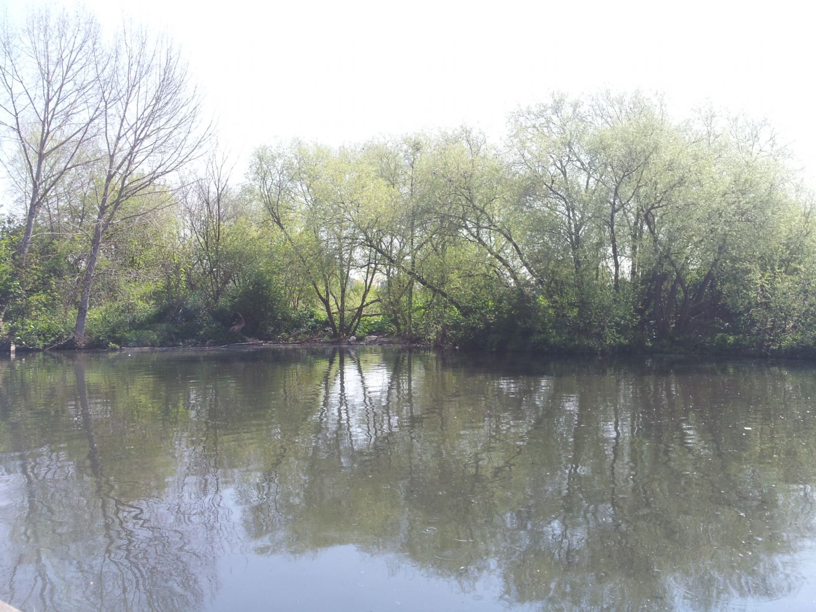 Millfields Park