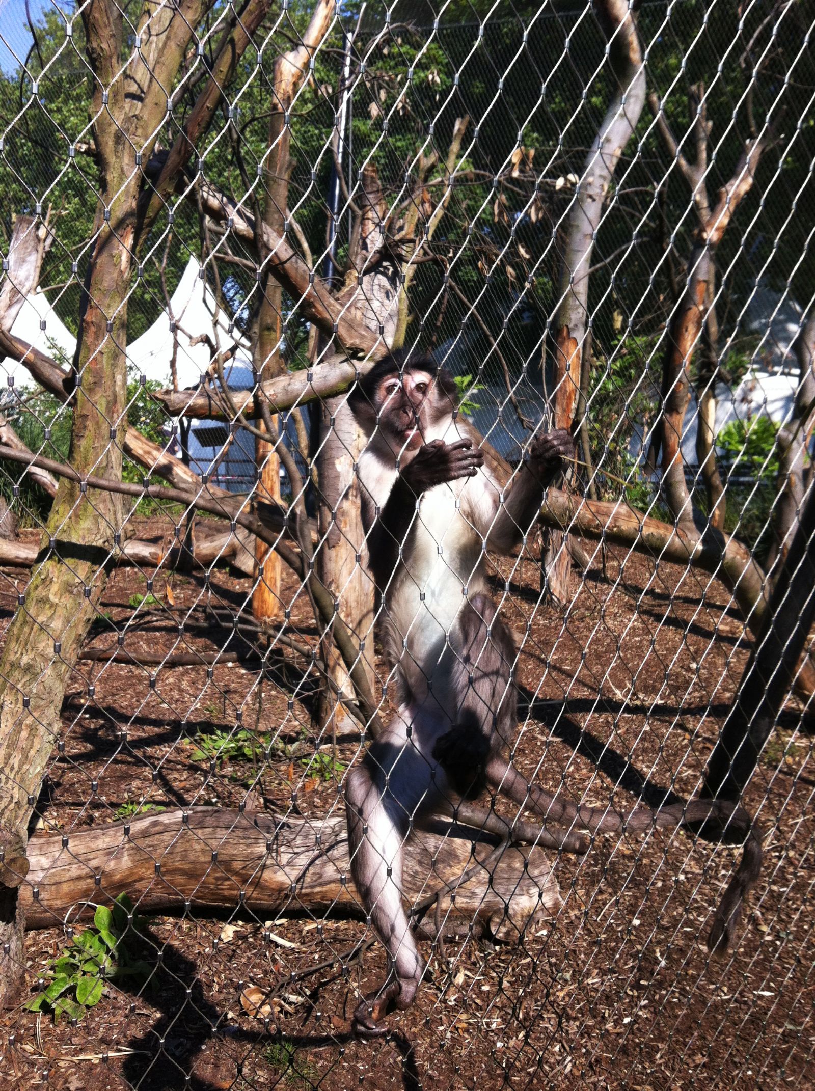 London Zoo