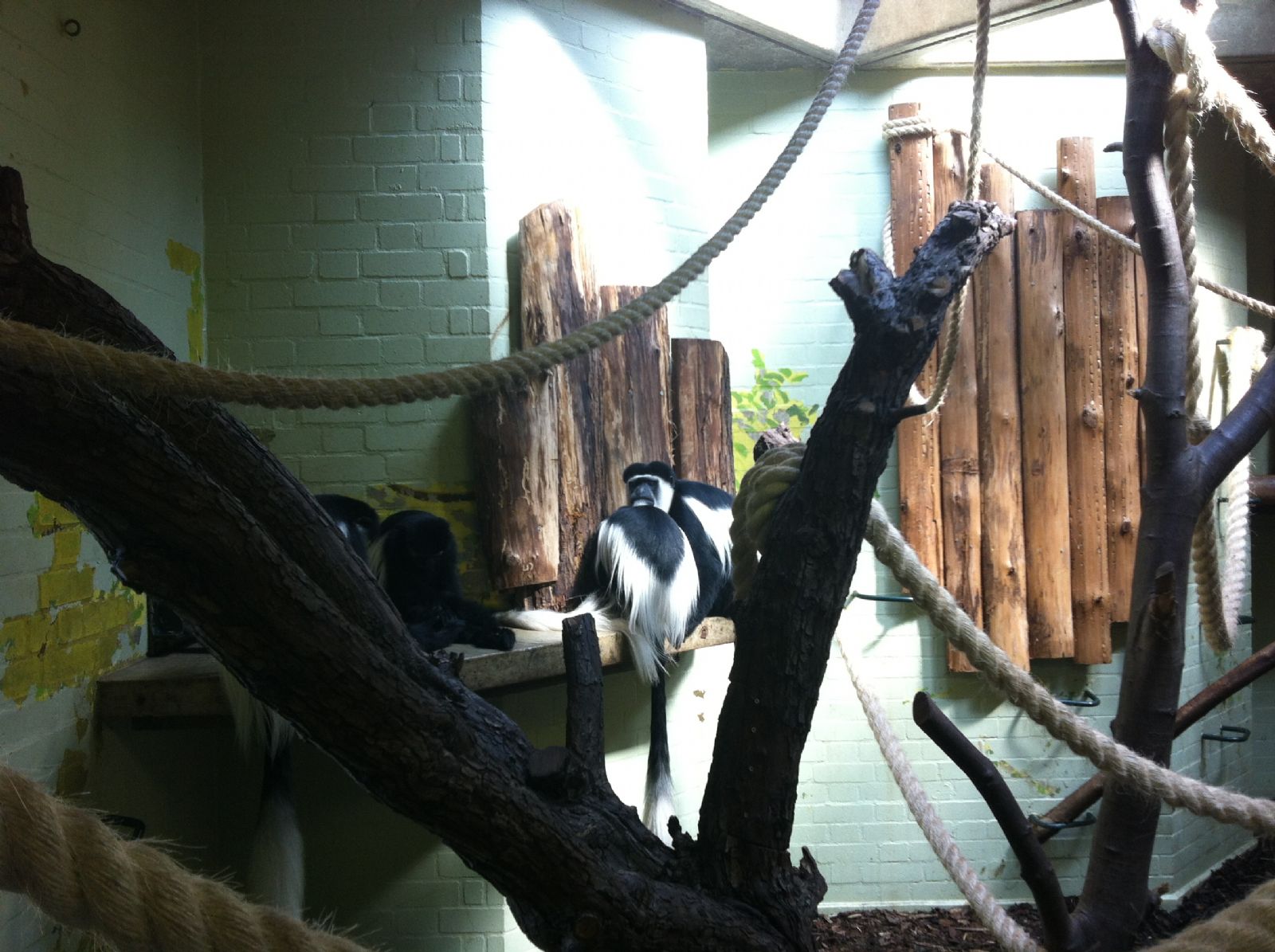 London Zoo