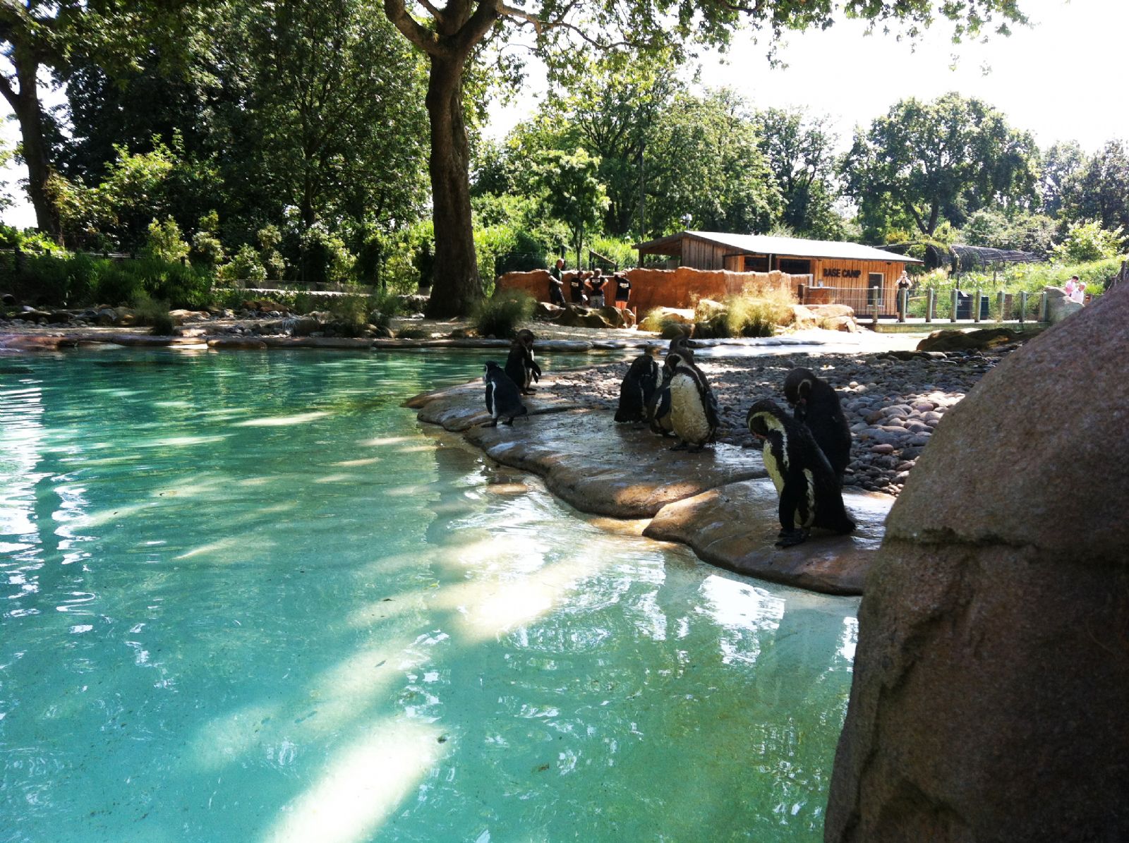 London Zoo