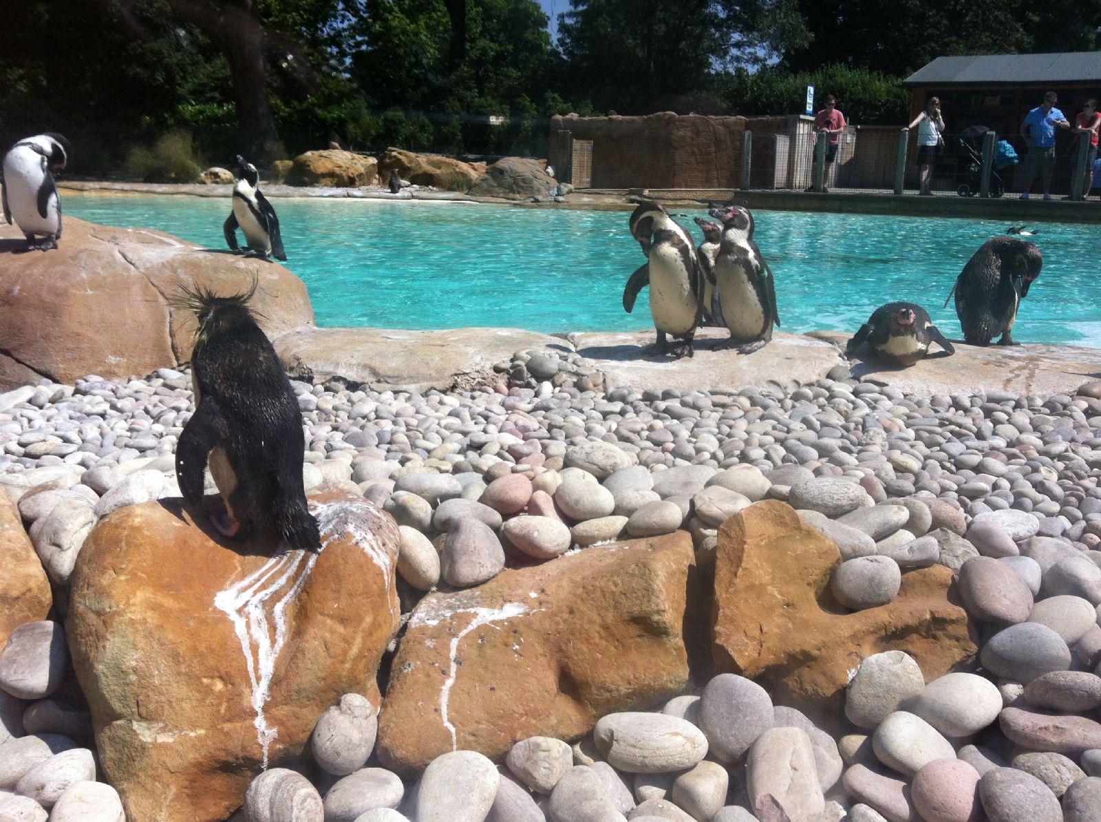 London Zoo