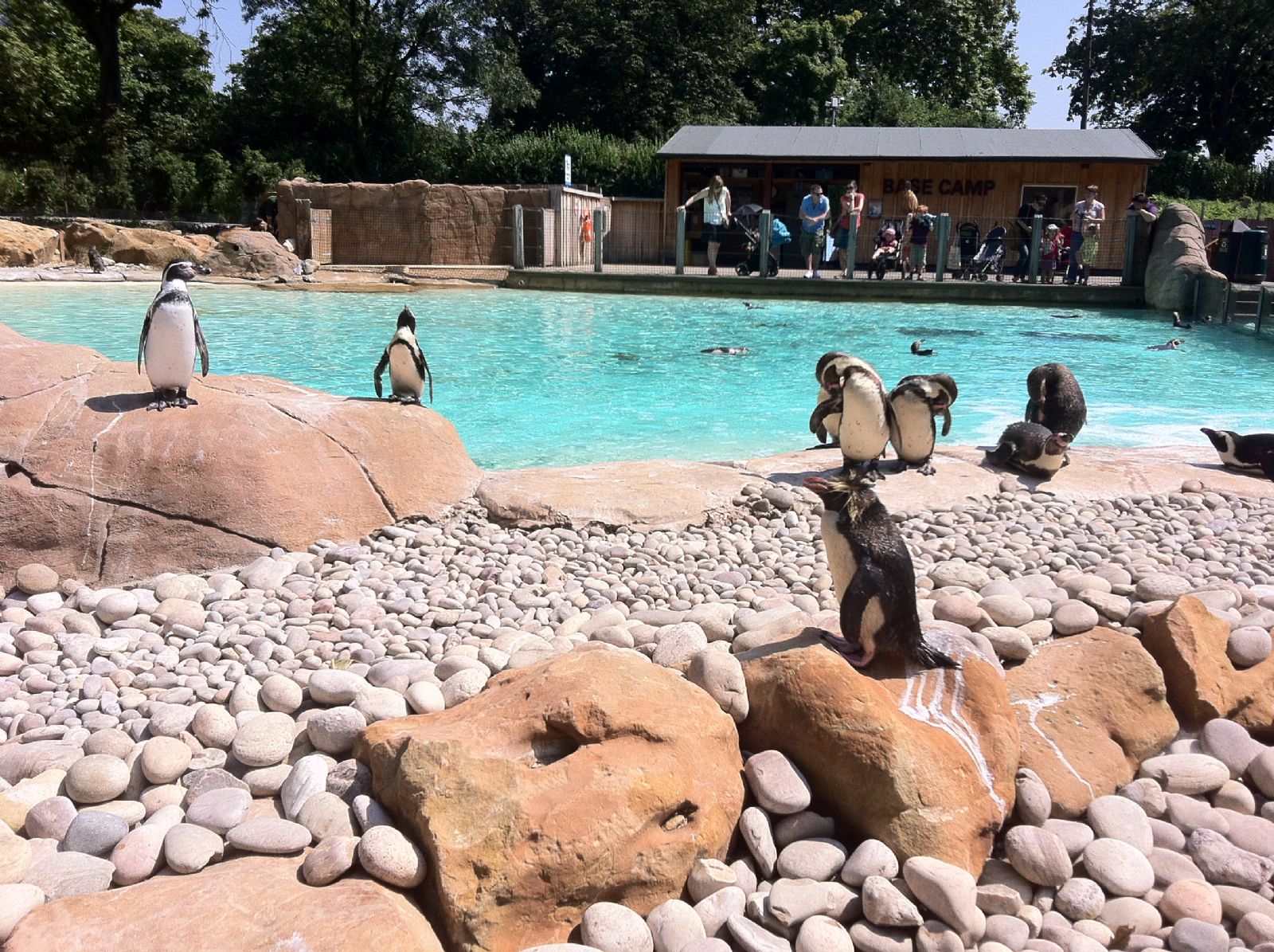 London Zoo