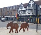 Colchester by Bahar