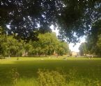 Millfields Park