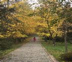 Atatrk Arboretum 2020